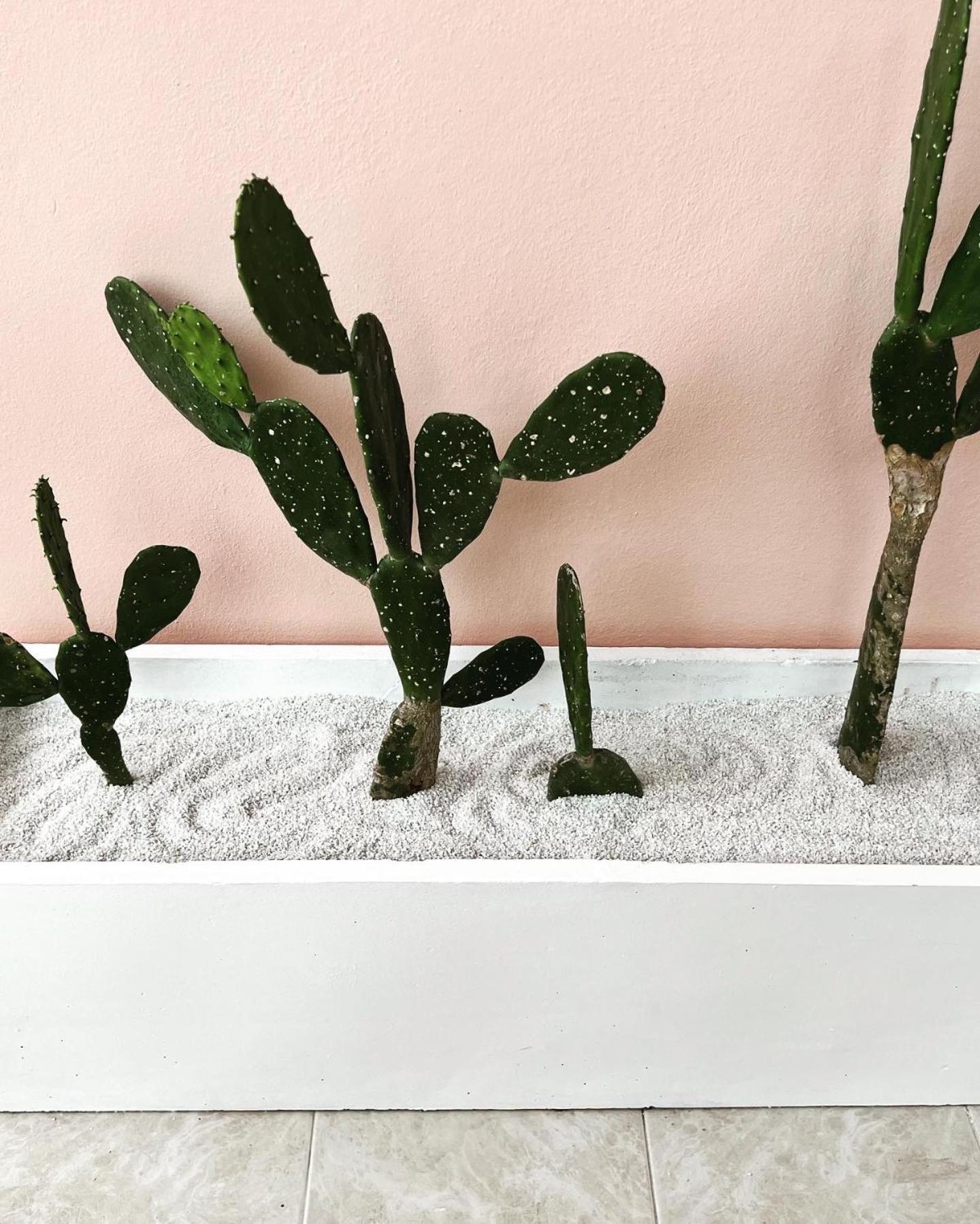 Amphoe Koksamui Casa Cactus 아파트 외부 사진